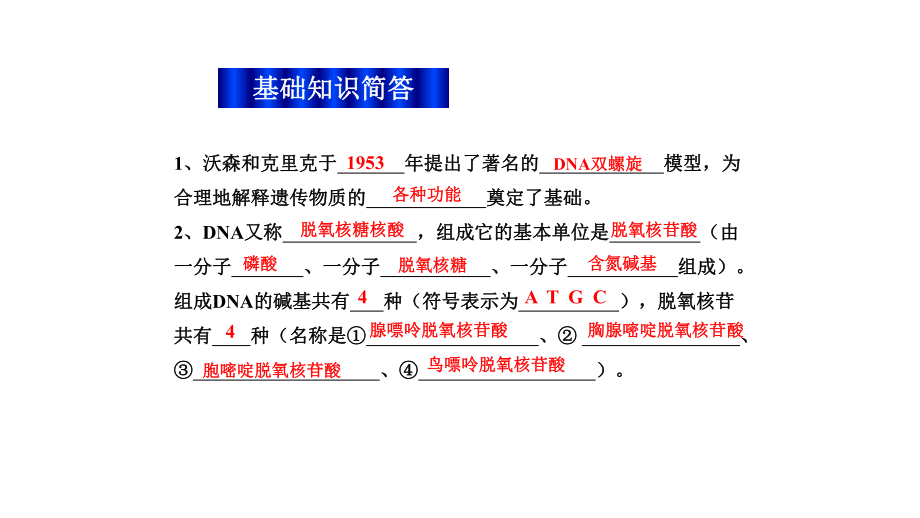 DNA分子的结构——碱基的计算ppt课件.ppt_第1页