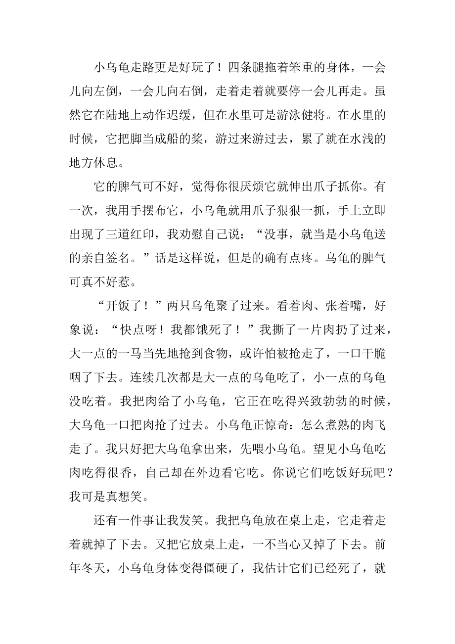 有趣小乌龟作文汇总.docx_第2页