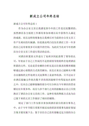 新成立公司年终总结精选.docx