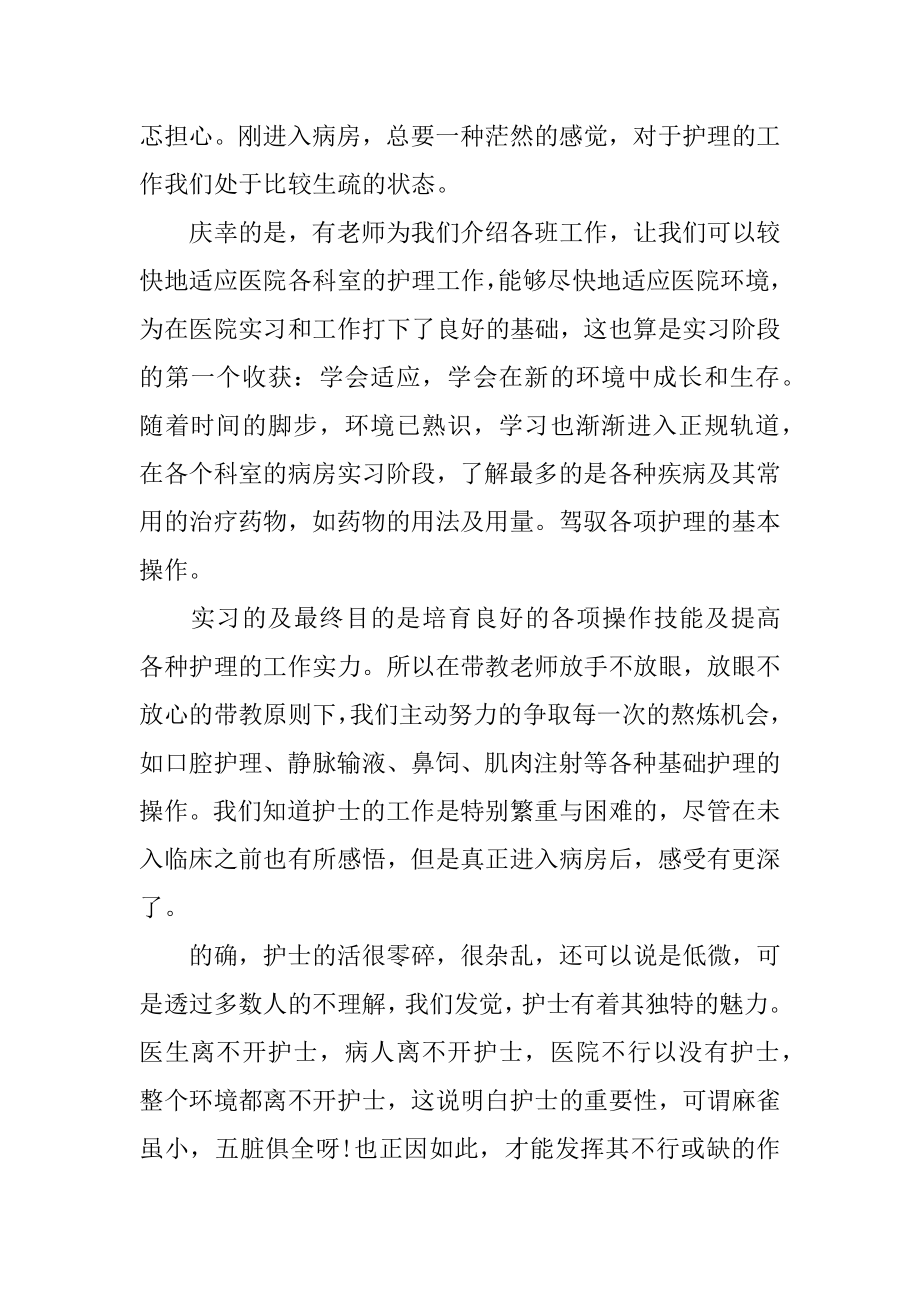 护士实习生个人工作总结汇总.docx_第2页