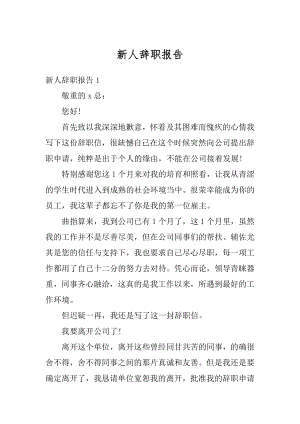 新人辞职报告优质.docx