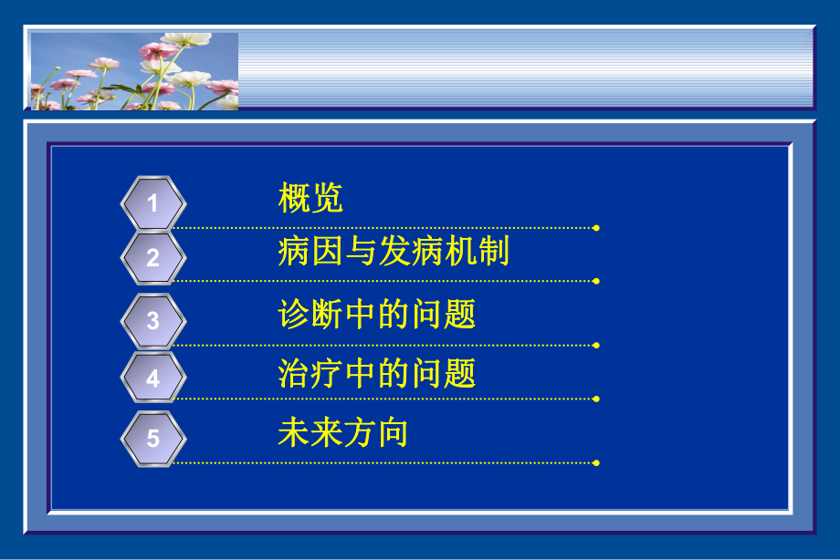 IBS诊断和治疗.ppt_第2页