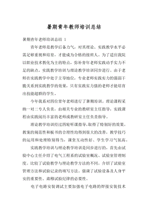 暑期青年教师培训总结范本.docx