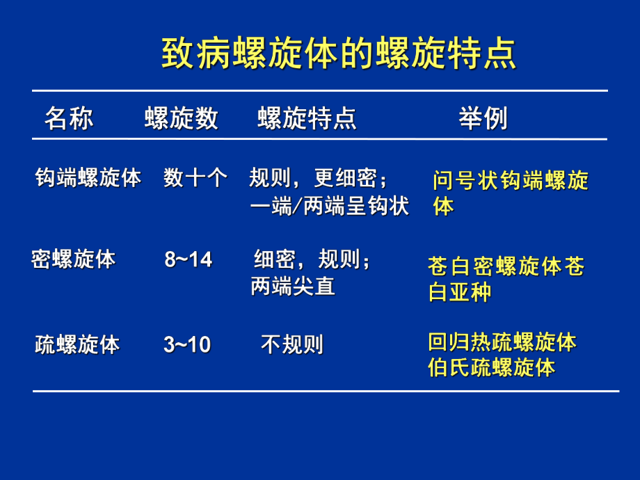 最新医学微生物学螺旋体ppt课件ppt课件.ppt_第2页