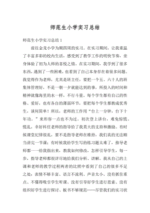 师范生小学实习总结优质.docx