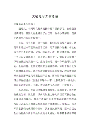 文秘见习工作总结精选.docx