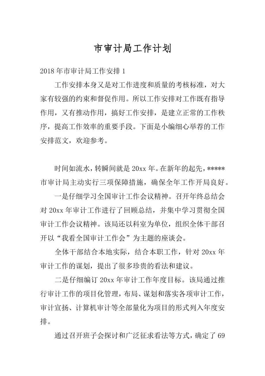 市审计局工作计划汇总.docx_第1页