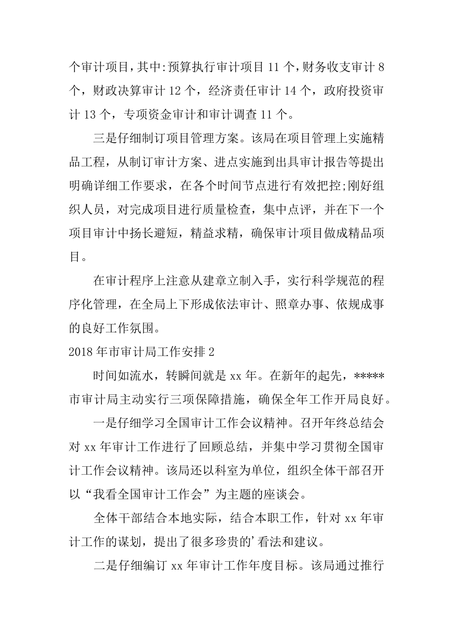 市审计局工作计划汇总.docx_第2页