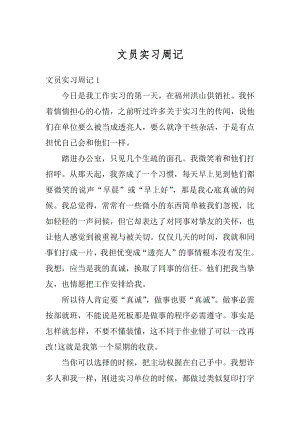 文员实习周记精编.docx