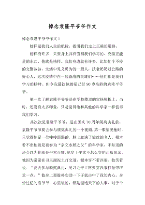 悼念袁隆平爷爷作文例文.docx