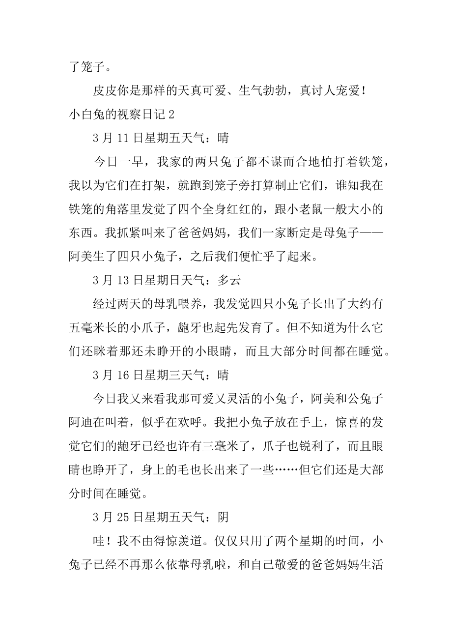 小白兔的观察日记汇总.docx_第2页