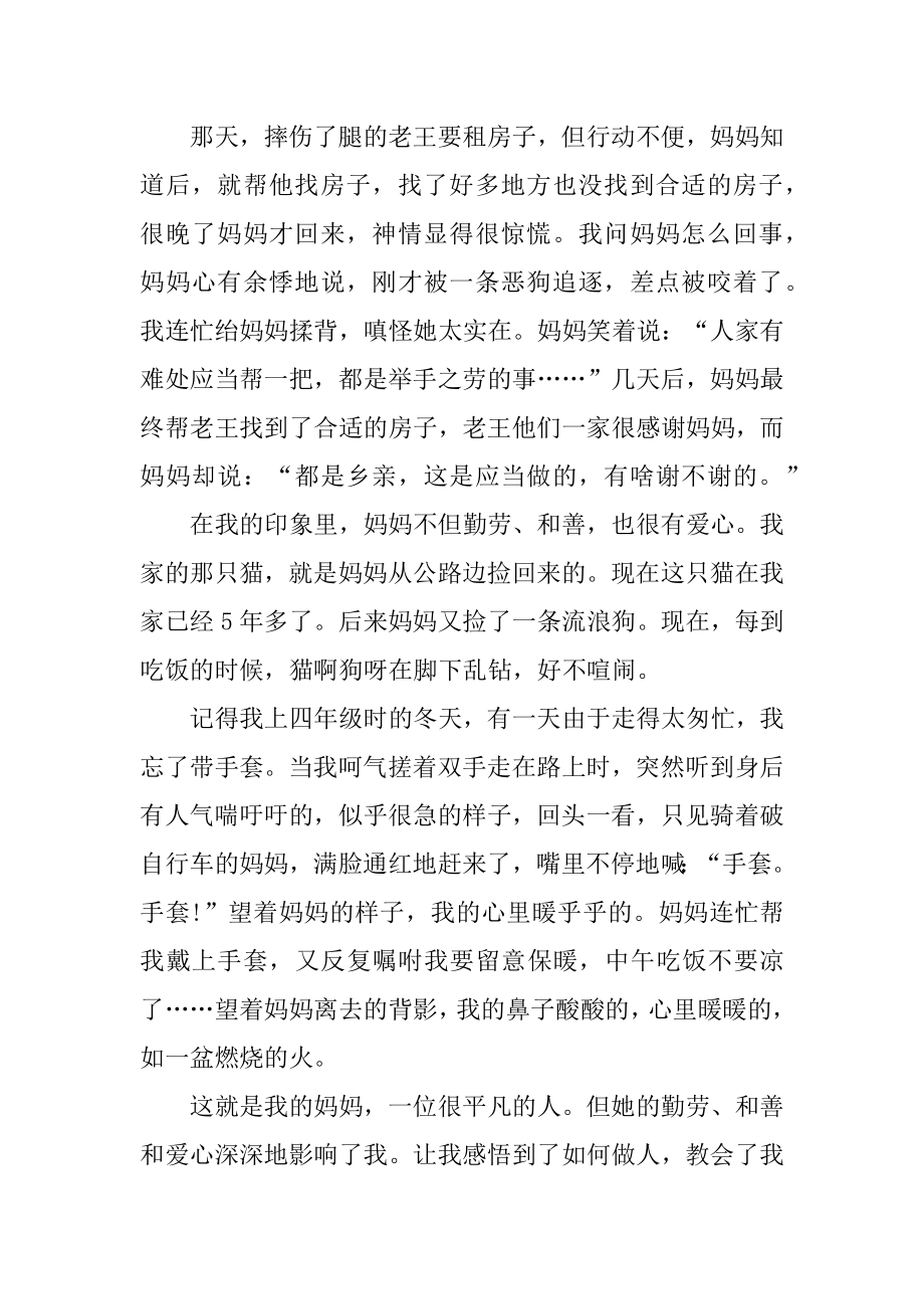 心中的偶像作文汇编.docx_第2页