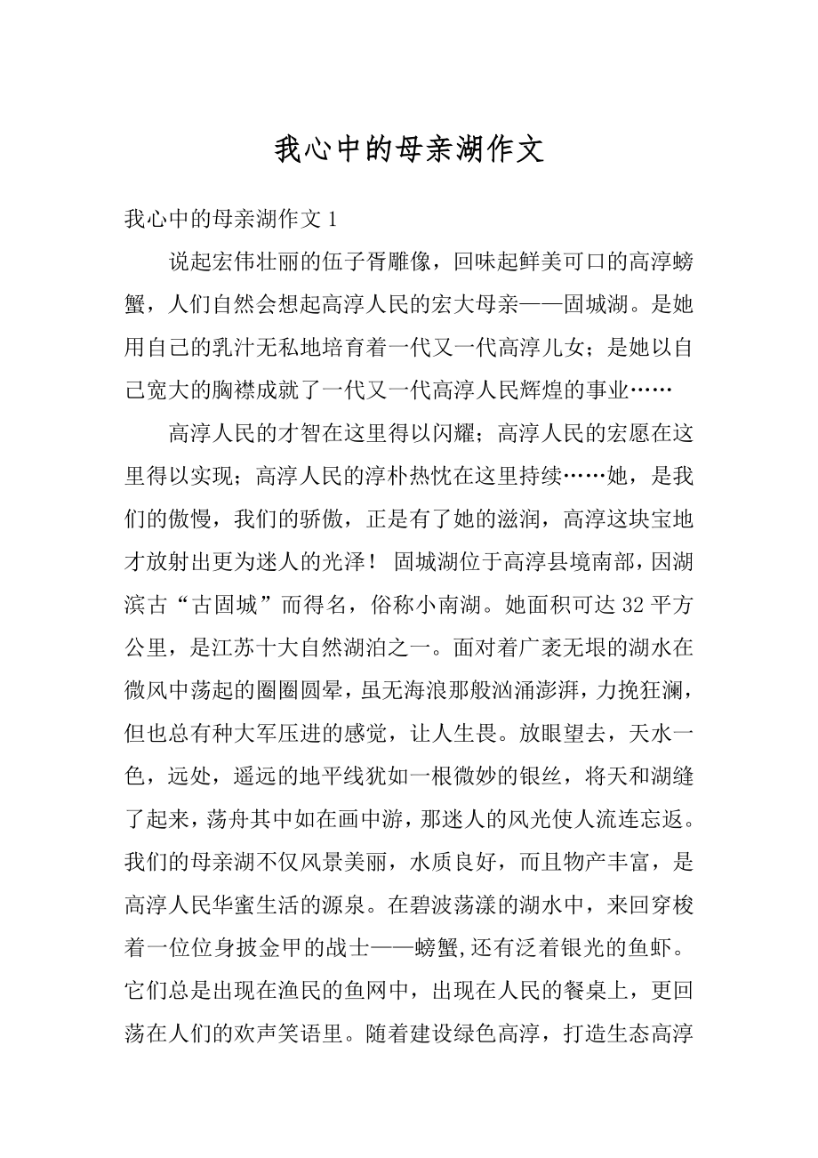 我心中的母亲湖作文精选.docx_第1页