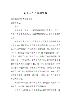 新员工个人辞职报告例文.docx