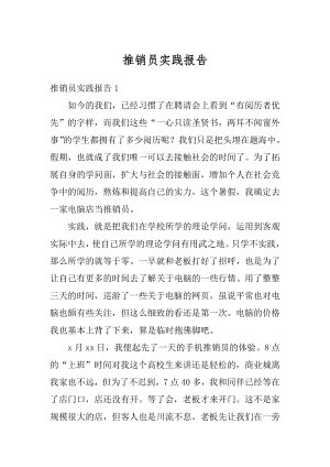 推销员实践报告例文.docx