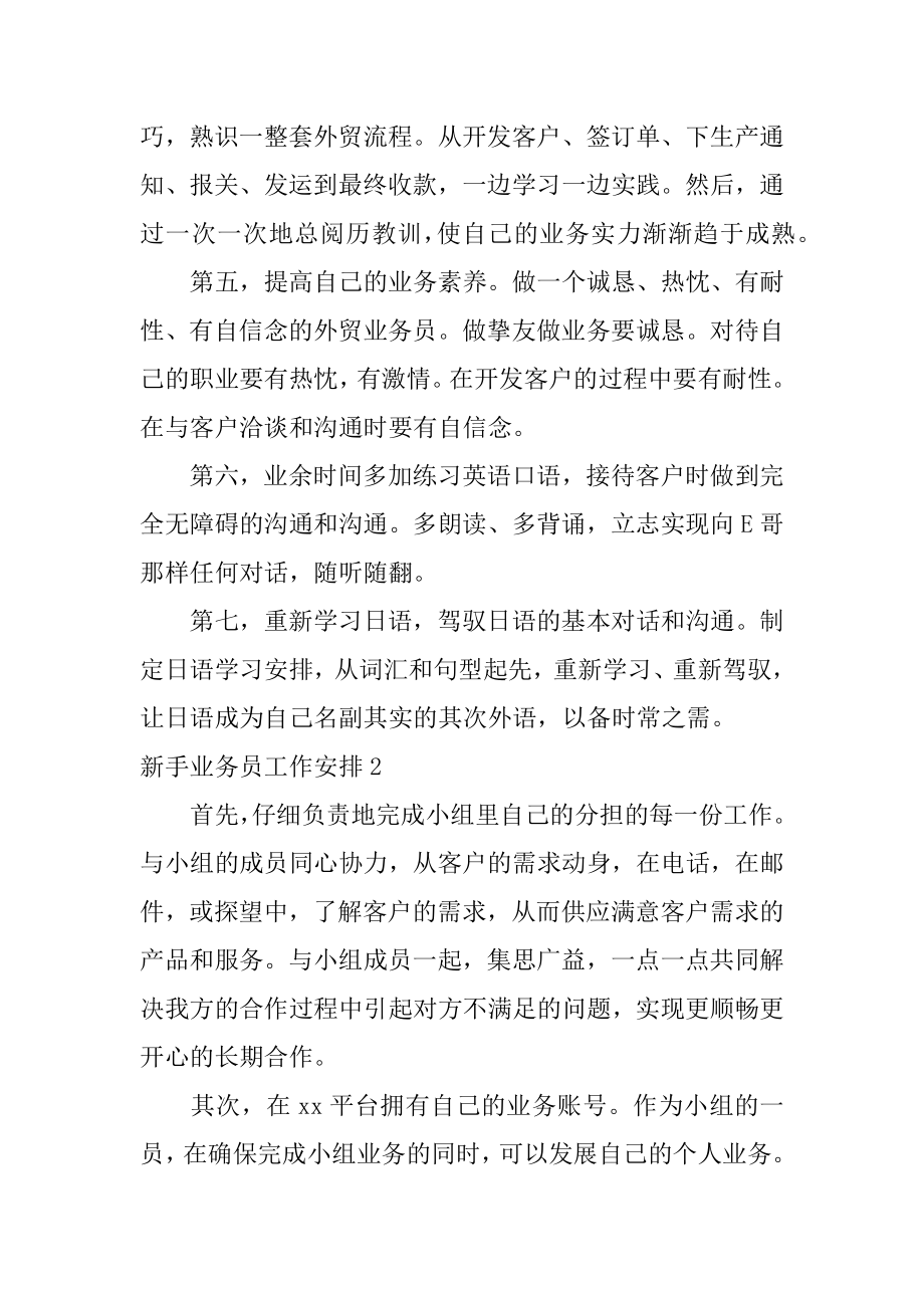 新手业务员工作计划最新.docx_第2页