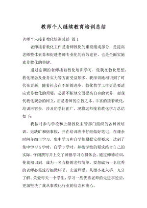 教师个人继续教育培训总结例文.docx