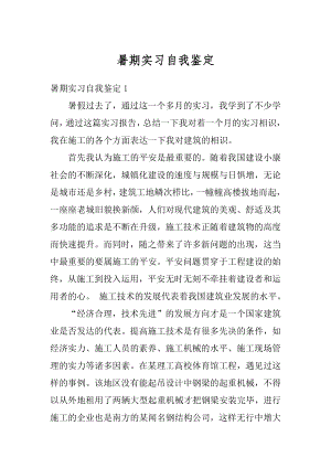 暑期实习自我鉴定精编.docx