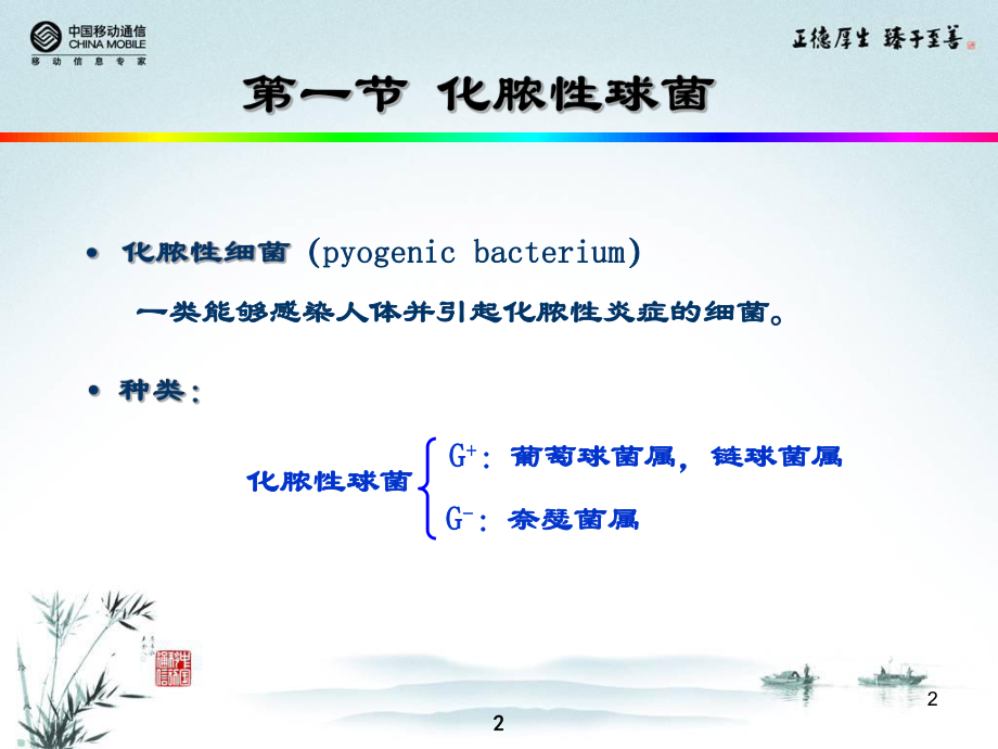 最新卫校讲稿-第四次课幻灯片.ppt_第2页