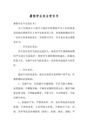 暑假学生安全责任书范本.docx