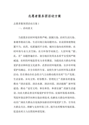 志愿者服务团活动方案范文.docx