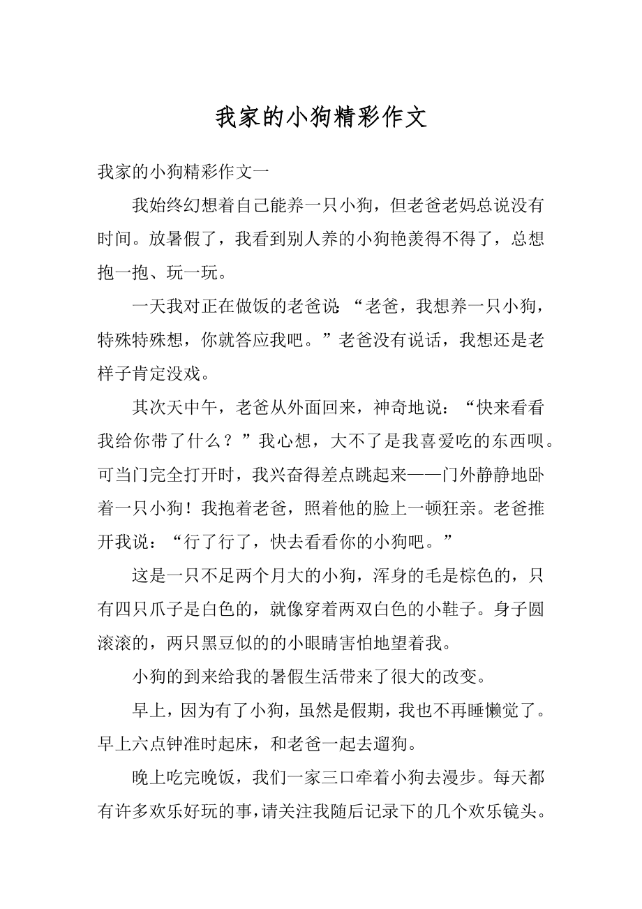 我家的小狗精彩作文最新.docx_第1页