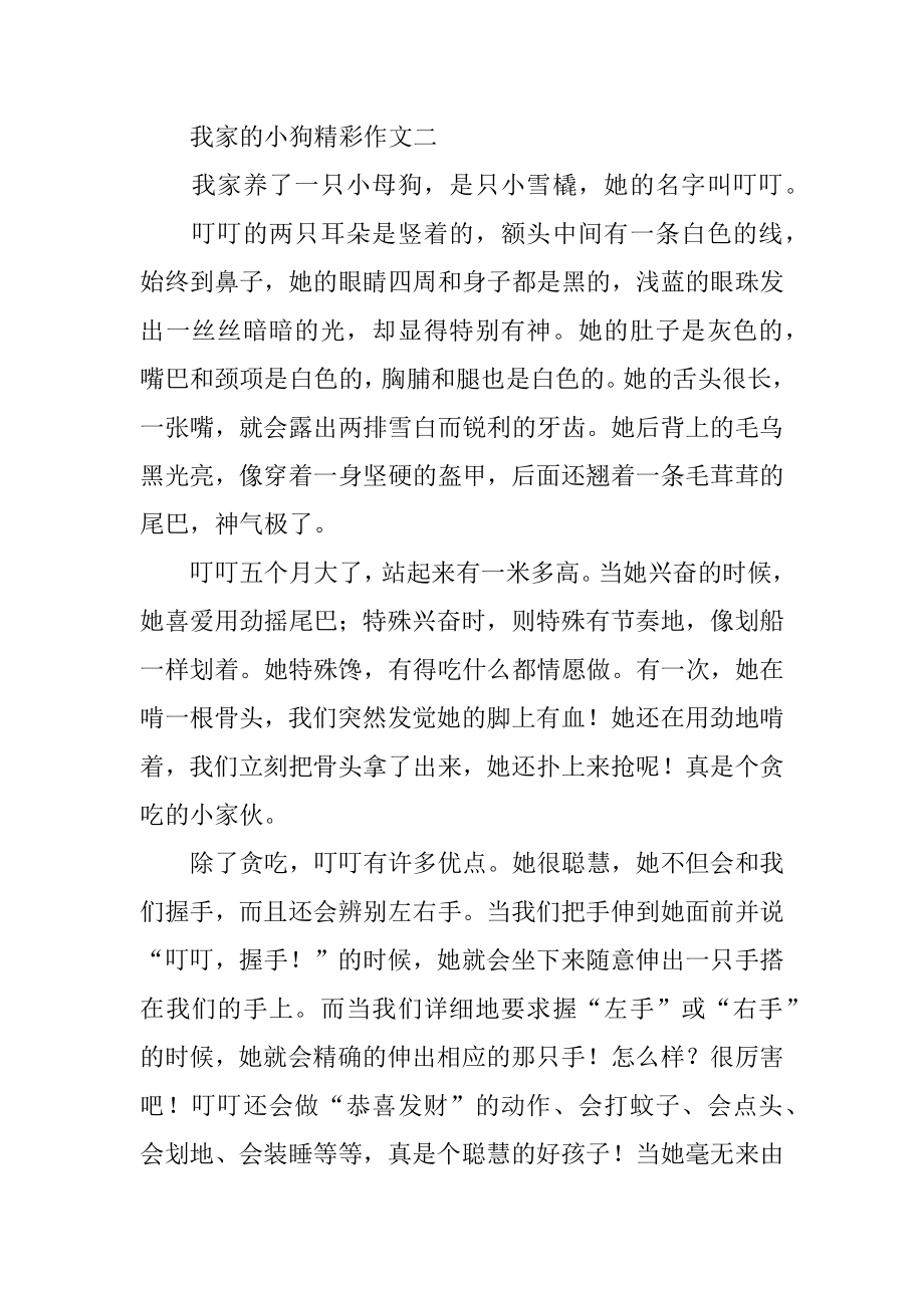 我家的小狗精彩作文最新.docx_第2页