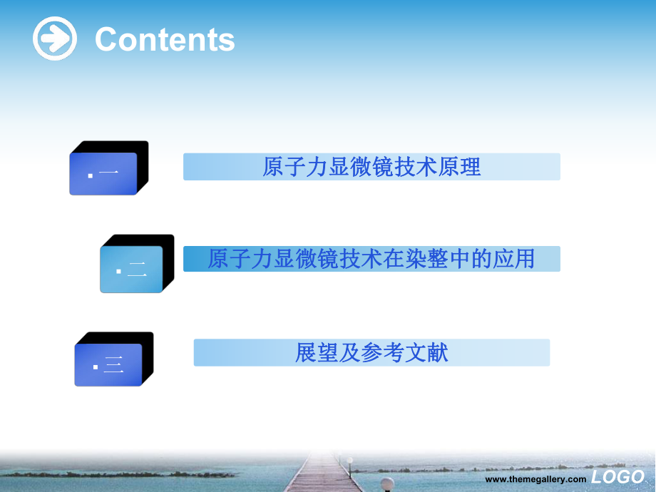 最新原子力显微镜技术在纺织化学与染整中的应用ppt课件.ppt_第2页