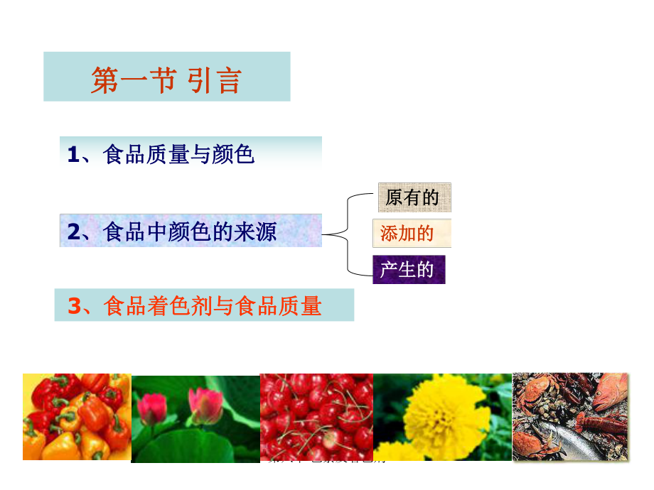 中国海洋大学食品化学第八章色素及着色剂ppt课件.ppt_第2页