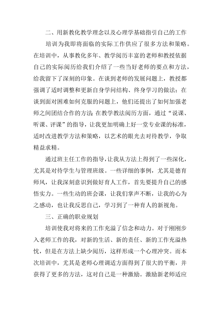 教师个人岗前培训总结例文.docx_第2页