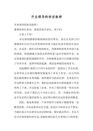 开业领导的讲话致辞例文.docx