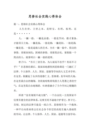 思修社会实践心得体会例文.docx