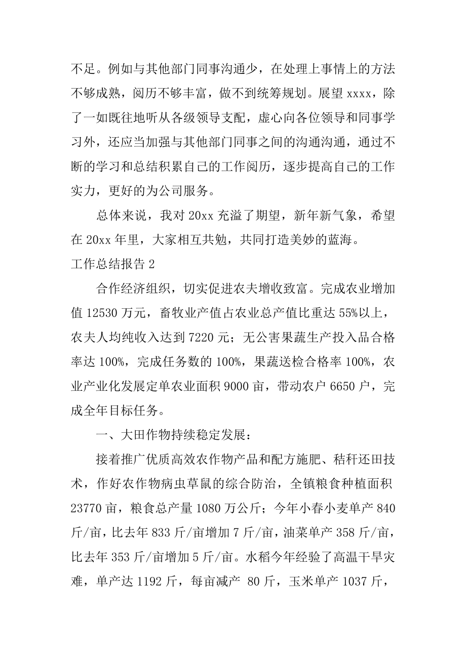 工作总结报告精编.docx_第2页