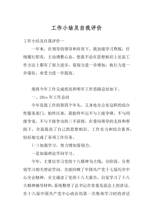 工作小结及自我评价汇编.docx