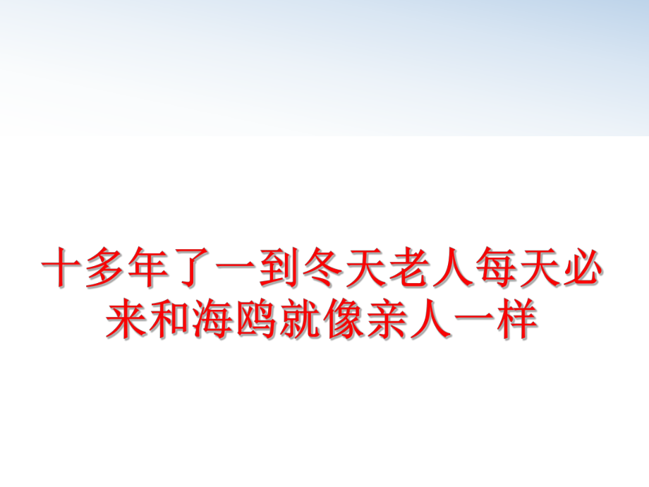 最新十多年了一到冬天老人每天必来和海鸥就像亲人一样ppt课件.ppt_第1页