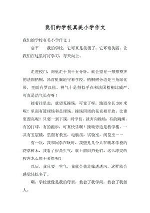 我们的学校真美小学作文精选.docx