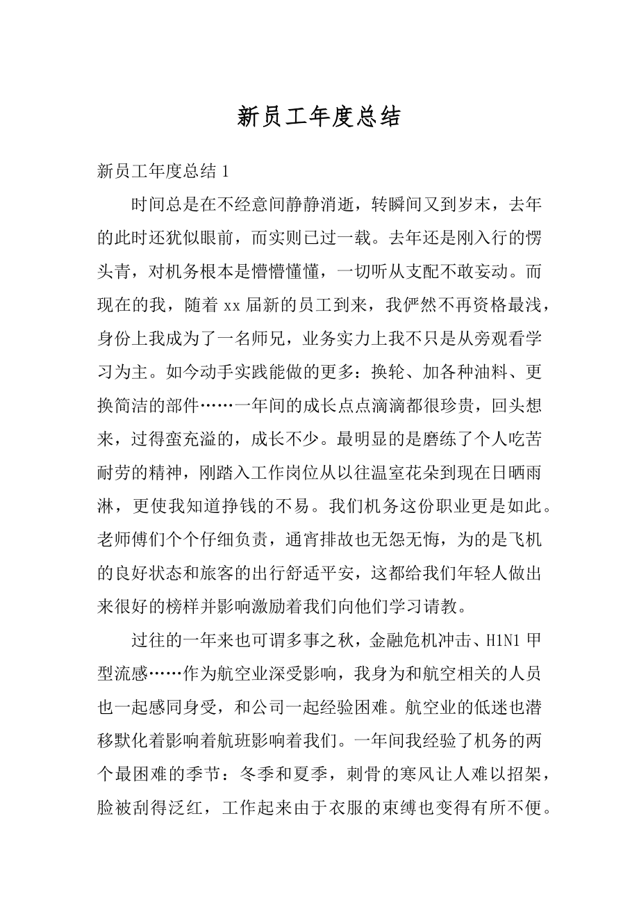 新员工年度总结例文.docx_第1页