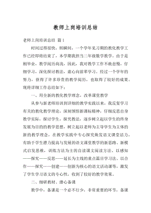 教师上岗培训总结最新.docx