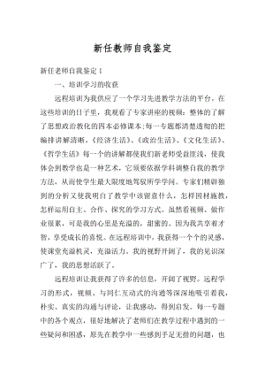 新任教师自我鉴定范文.docx