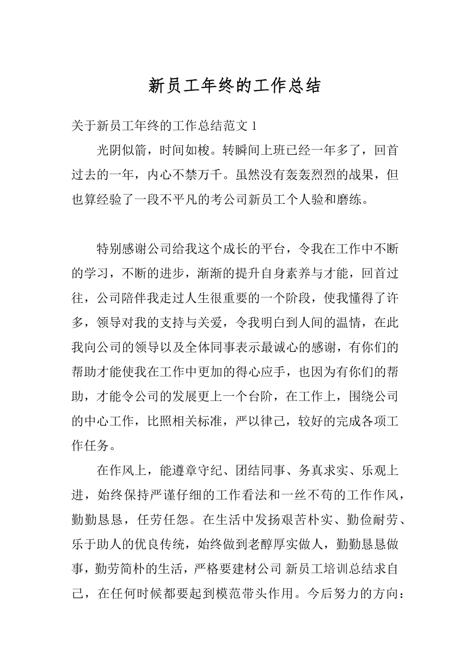 新员工年终的工作总结汇总.docx_第1页