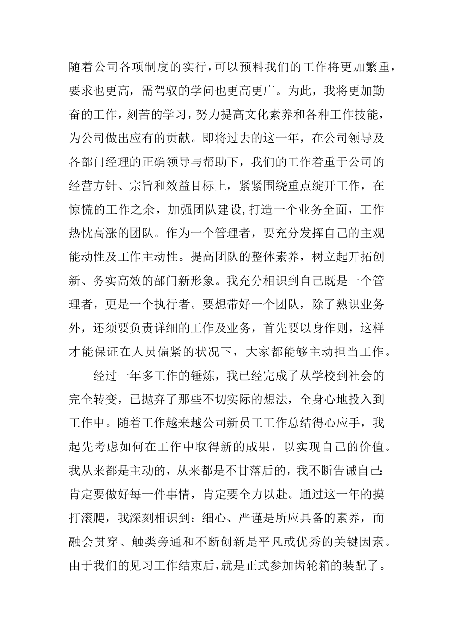 新员工年终的工作总结汇总.docx_第2页