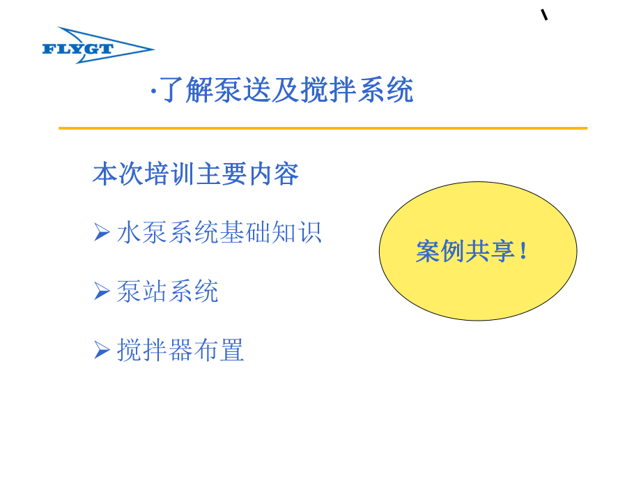 ITT-FLYGT飞力泵送及搅拌系统培训原厂资料经典收藏简体中文.ppt_第2页