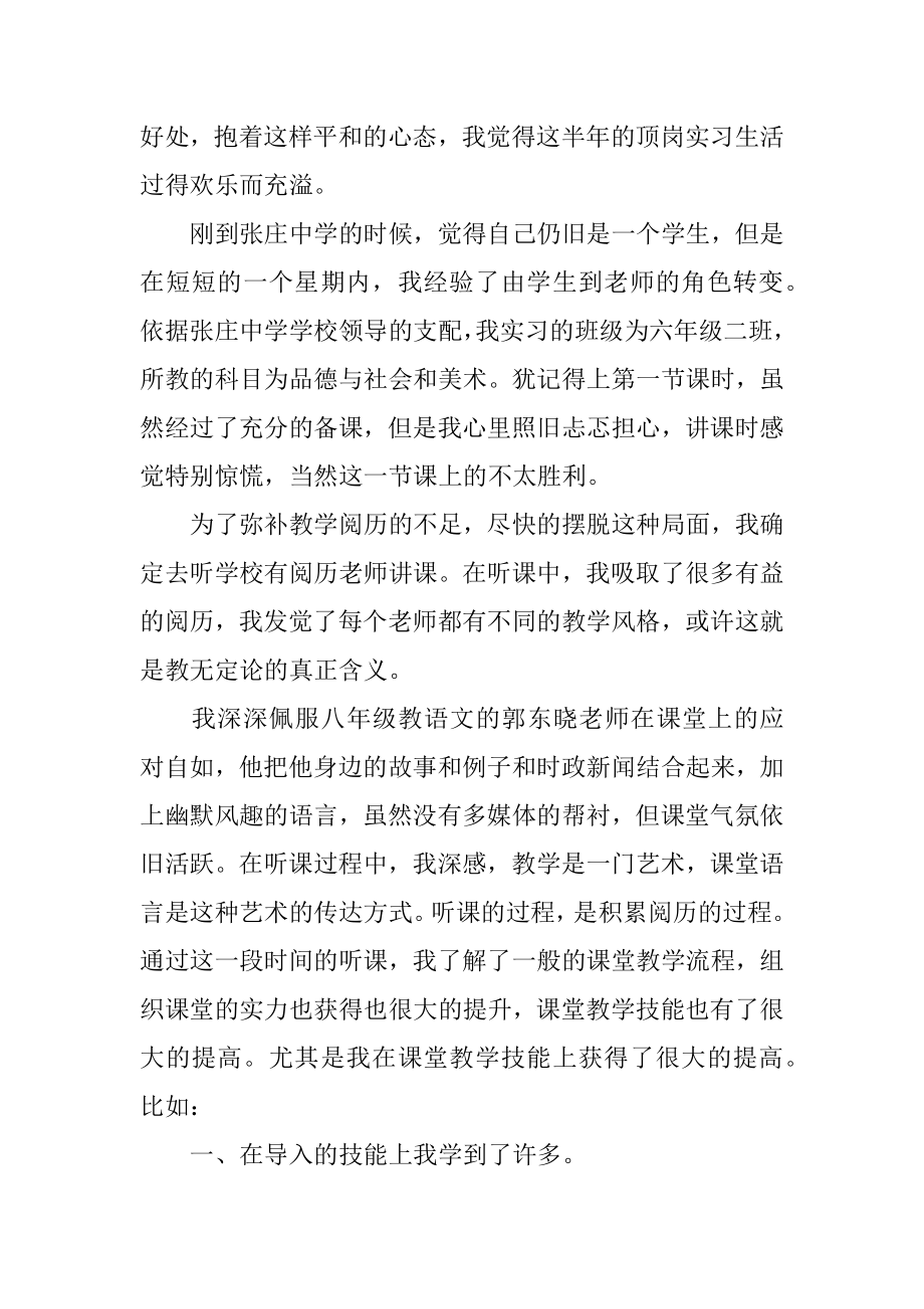 师范大学生顶岗实习总结精选.docx_第2页