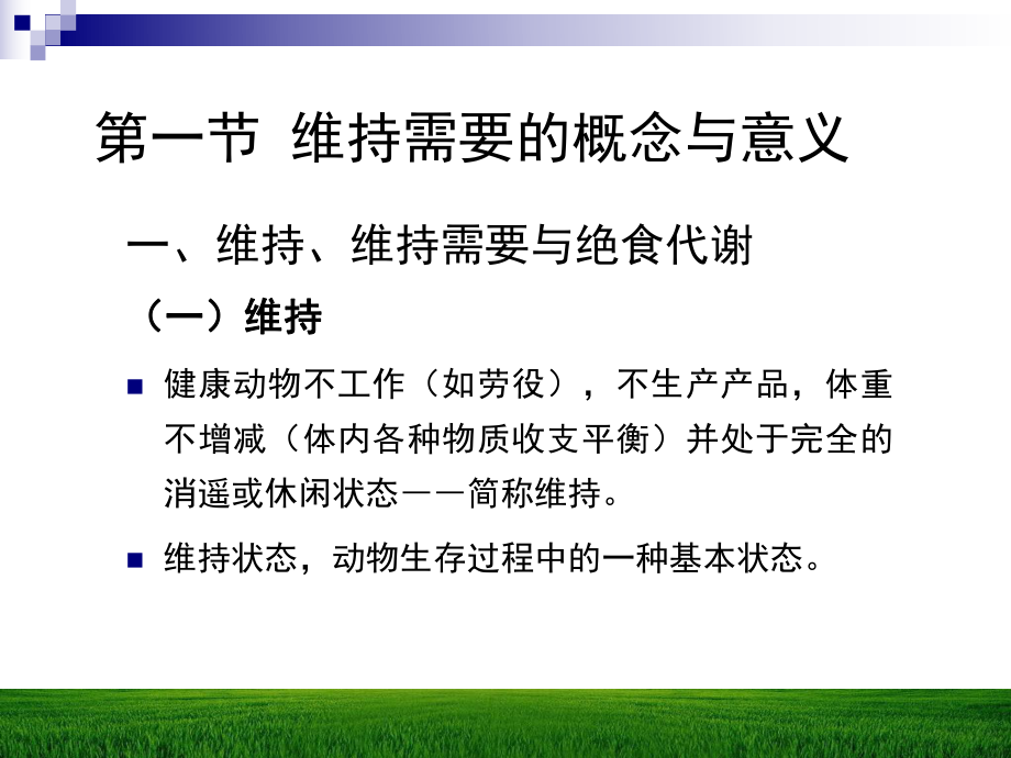 最新十一章动物的维持营养需要幻灯片.ppt_第2页