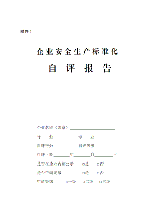 企业安全生产标准化自评报告.pdf