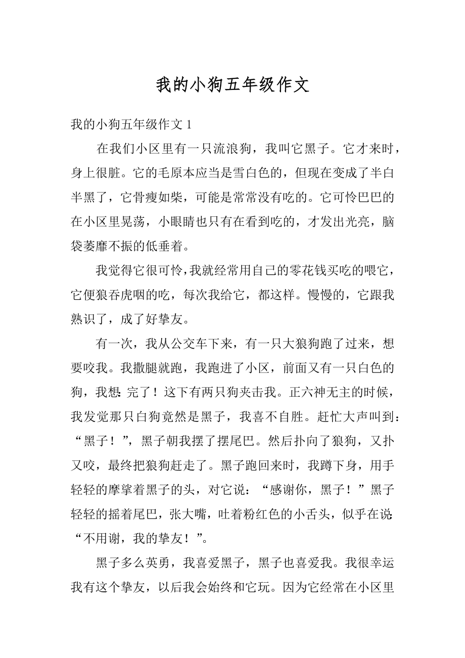 我的小狗五年级作文汇总.docx_第1页