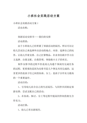 小班社会实践活动方案优质.docx