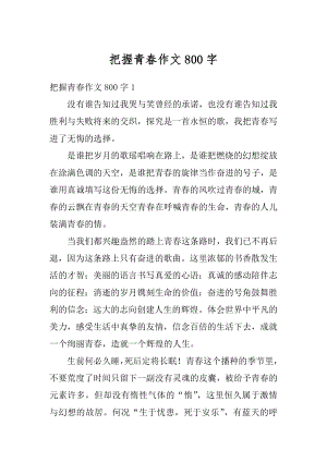 把握青春作文800字汇总.docx