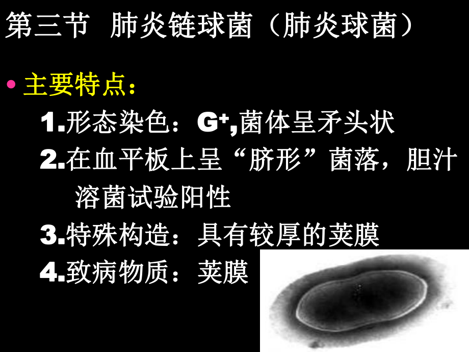 最新医疗：肺炎链球菌、奈瑟 (2)精品课件.ppt_第2页