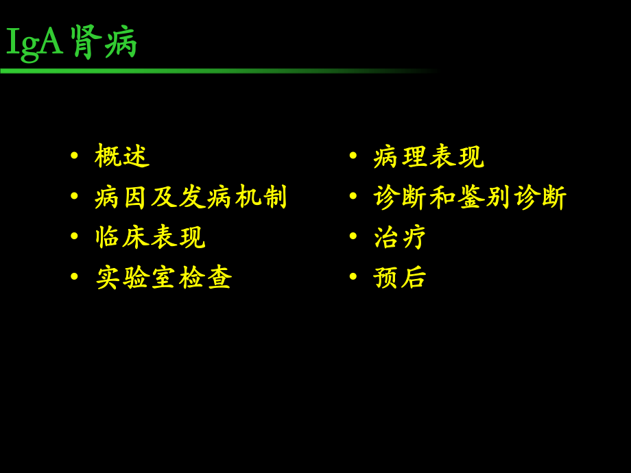 IgA肾病-课件.ppt_第2页